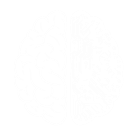 Brain Icon